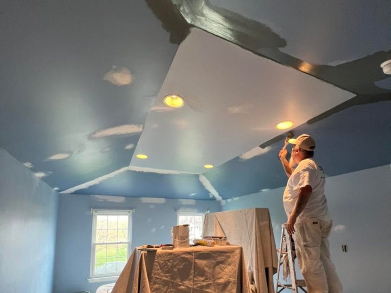What Can Our Experienced Painters Offer_